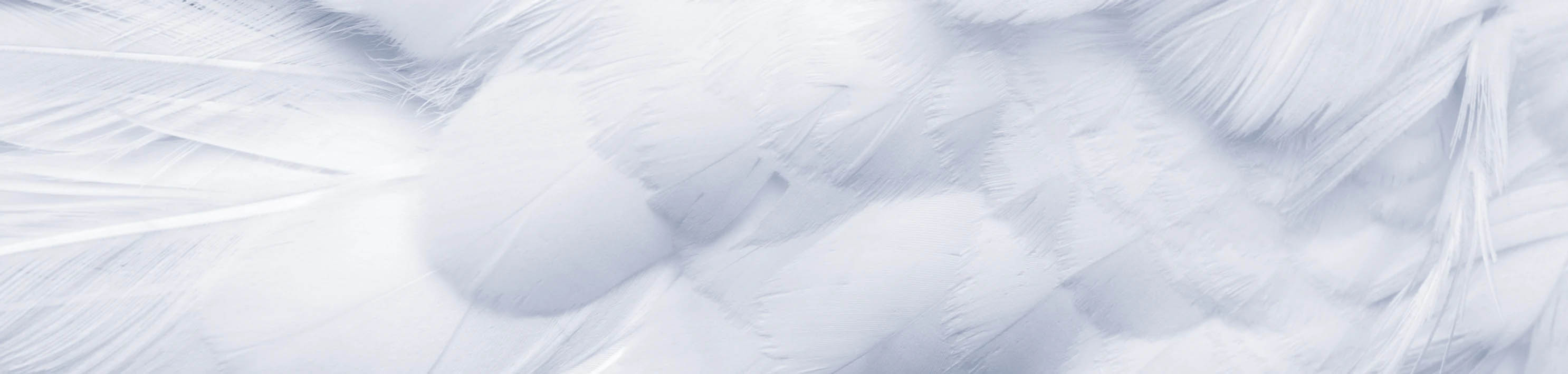 A selection of ref feathers overlapping the whole image.